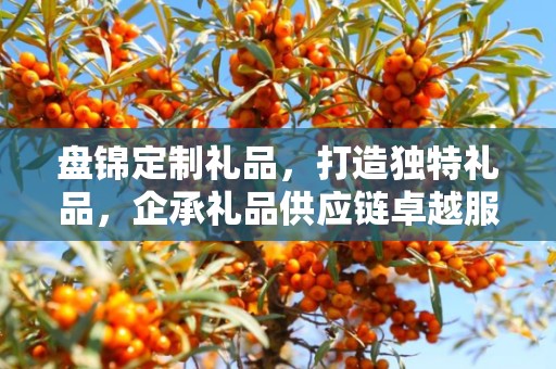 盘锦定制礼品，打造独特礼品，企承礼品供应链卓越服务